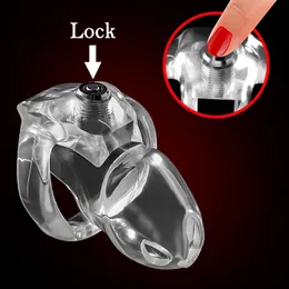 Cockrings HTV5 Clear Design Ring Resin Dispositivo di castità maschile Cintura Cage Holy Trainer Click Lock 230202