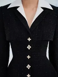 Sıradan Elbiseler Kış Nakış Yüksek Bel Sonbahar Tweed Blend Elbise Zarif A-Line Lüks Partisi Uzun Kollu Boho Dantel Pist 2023 Kadın