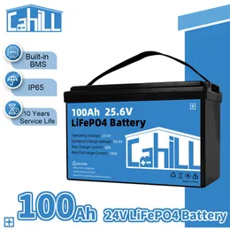 Djup cykel 24V LIFEPO4 Batteri 100AH ​​Grad A Deep Cycle Marine Battery Inbyggd BMS Lämplig för elektriska folklyftningar Golfvagnar