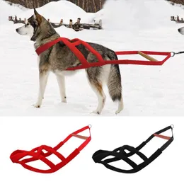 Dog Collars Sled Harness Durable Soft Padded Weight Pulling Dogs Sledding Training For Medium Large Skijoring