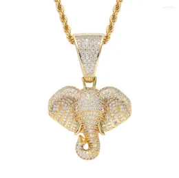 Подвесные ожерелья изысканный колье Слонта Мужчины женщины заморозили хип -хоп ювелирные изделия подарка на день рождения Morr22