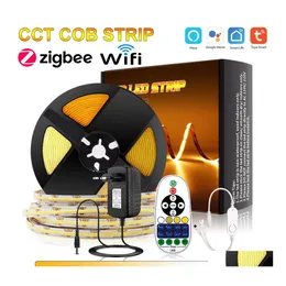 LEDストリップTUYA ALEXA CCT BICOLOR COB STRIP 60888LEDS/M Voice Control Lights柔軟な柔軟な照明照明wifi zigb dhkto