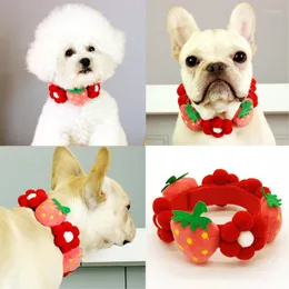 Hundehalsbänder, verstellbares Haustierhalsband, kreativ, Obst, Blumen, Welpen, selbstklebend, Katzen-Halsband, Zubehör für Katzen