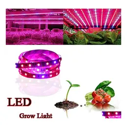 LED 스트립 FL 스펙트럼 SMD5050 수경 식물 재배 램프 상자 레드 블루 41 드롭 배달 조명 DH84W