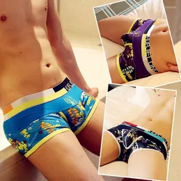 Underpants 3pcs/로트 개별 남성용 속옷 바지 젊은 한국 만화 로우 남성 4면 인쇄 각도 사랑스러운 B0896