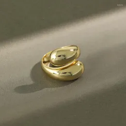 Pierścienie klastra Xiha Real 925 Srebrny pierścień podwójna woda upuść duża regulowane złoto dla kobiet punkowe Chunky Bejdia 2023