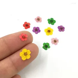 Nail Art Decorations 50Pcs 3D Dried Flowers Sticker Five Petal Flower Colorful Natural Real Dry Decal For Supplies Stac22
