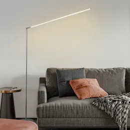 Lampade da terra Nordic Standing For Living Room Luminaria Lampada da letto Stand Light Modern Led Home Decor LampFloor