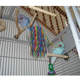Diğer kuş malzemeleri papağan oyuncak çiğneme ısırıkları pamuk ipi renkli asılı kafes salıncak yuva dekor çekme oyuncak aksesuarları