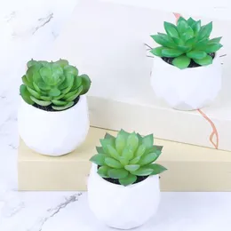 Dekoratif Çiçekler Süs Popografi Sahne Modeli Simülasyon Aloe Saksılı Sahte Yeşillik Yapay Bonsai Yaşam Bitkiler