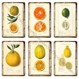 Vintage Fruit Orange Lemon Food Metal Painting Restaurant Bedroom Plaque Vintage Tin Sign Retro Metal Sign Decorative Plaque Wall Decor 20cmx30cm Woo