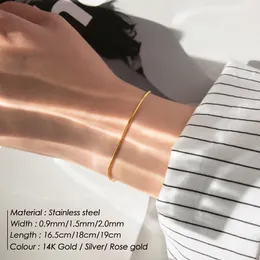 Stainless Steel Snake Chain Bracelet Fashion Jewelry For Men Women Stainless Steel Link Bracelet