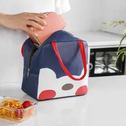 Dinnerware Sets Insulated Lunch Bag For Women Waterproof Large Portable Cartoon Girl Thermal Cooler Tote Office Work School