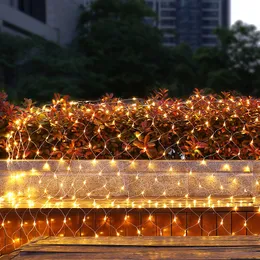 3M × 2M 200 LEDS مصابيح شبكة صافية مع LED SENT String Light 8 أوضاع للحديقة/الشرفة/الزفاف USALight