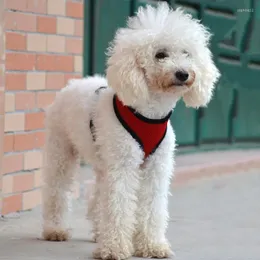 犬の首輪ハーネスとリーシュセット調整可能な子犬の柔らかい通気性メッシュウォーキングリード小さな犬のペット用品