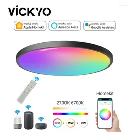 Taklampor Vickyo Light HomeKit Smart WiFi App Scan Code direkt Anslut till avlägsna Alexa Voice Control Timing Switch