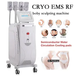 Cryolipolysis slimming therapy Cryoskin Pad EMS Stubborn Fat Removal Machine body scuplting weight loss Massage Device with -11degree