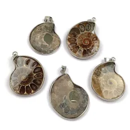 Charms Natural Stone Agates Pendant Conch Shape Jewelry를위한 절묘한 펜던트 DIY 목걸이 액세서리 크기 30x40mm D DH1YW