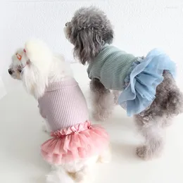 Dog Apparel 2023 Autumn And Winter Est Pink Blue Colors Wool Bottoming Skirts For Pet Clothes Sweterek Dla Psa