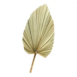 Decorative Flowers Palm Dried Leaves Decor Leaf Fan Dry Tropical Wedding Fronds Preserved Palms Palmetto Fake Artificial Natural Hand Green