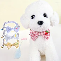 Hundehalsbänder, Halsband mit bestickter Schleife, klein, mittelgroß, Teddy, Heimtierbedarf