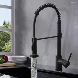 Kitchen Faucets 360 Degree Stretch Faucet With Spring Black Brushed Stream Sprayer Nozzle Cold Mixer Tap Multi-Function Sink