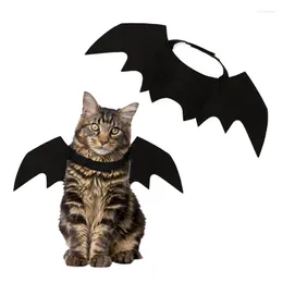 Cat Costumes Funny Clothed Bat Wings Vampire Black Wing Decoration Small Dog Custume Fancy Dress Up Pet Halloween Costume Gift