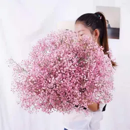 Dekorativa blommor Naturtorkade bevarade gipsophila Paniculata Baby's Breath Flower Buquets Gift till Wedding Home Decor Props Po