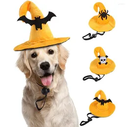 Trajes de gato chapéus de cachorro engraçados Halloween Pet Hap