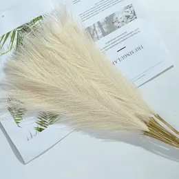 1 pacchetto 5 pezzi, pampas finto grande grande soffice soffice fiore falso artificiale decorazione bulrush reed erba per bullo di riempitivo per la colpa