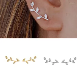 Orecchini CRMYA a forma di foglia Semplice zircone cubico placcato oro argento Crawler Ear Climber per le donne Regalo di gioielli da sposa