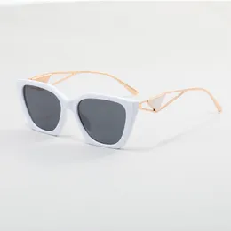 64 Sunglasses 8286 Designer Sunglasses Classic Eyeglasses Goggle Outdoor Beach Sun Glasses For Man Woman Mix Color Optional Triangular signature