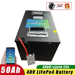 48V 50AH LifePO4バッテリーパックグランドAセルリチウムリン酸リン酸リン酸リン酸リチウムBOT-INBMSボートモーターソーラー用充電式バッテリー