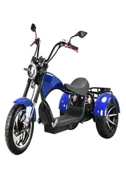 Onderdelen 2000W Off Road Electric Motorcycle Scooter CityCoco Volwassene Elektro 3 Wiel vetvuur met EECCOC -voertuigen9500002