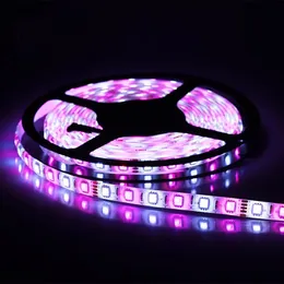 Striscia Led DC12V SMD5050 RGBW RGBWW Flessibile 300LEDs 5M Roll PCB Bar KTV Computer Scrivania TV Sfondo Decorazione per Festa di Nozze Vacanza Ora Crestech168