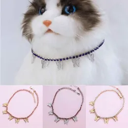 ملابس الكلاب 2PCS CUTE CAT Supplies PET PET Accessories Jewelry Pearl Twlar Necklace Rhinestone Bell