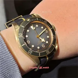 Rel￳gio TF 43mm 2824 Movimento mec￢nico autom￡tico Bronze Case Wristwatches 300m ￠ prova d'￡gua