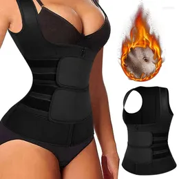 Shaper da donna Corsetto da corte europeo e americano Vita regolabile Cerniera Body Shaping Abbigliamento Addome Trainer