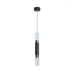 Pendellampor nordiska LED -ljus lång rörlampa cylinderrör hängande för vardagsrum sovrum fixturdekor armatur