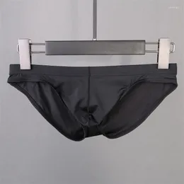 Underpants High Elastic Ultra Thin U Convex Sac Quick Dry Breathable Panties Sexy Ice Silk Briefs Low Waist Translucent Men's Underwear