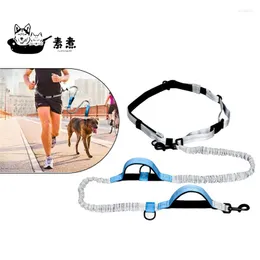Dog Collars Dogs Leash Running Jogging Padded Waist Belt Reflective Strip Elastic Harness Collar Lead Walking Training