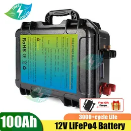 Batteria Lifepo4 12V 100Ah ricaricabile integrata nel monitor BMS intelligente tramite app mobile per supporto camper per barche del sistema solare personalizzato