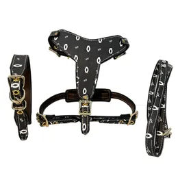 Designer Dog Collars Leashes Leather Medium Large Dog Collars Harnesses Leashes 3Pcs Matching Set for Pit Bull Mastiff Boxer Bull Terrier L B149