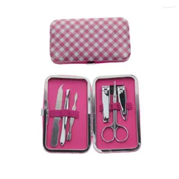 Nail Art Kits 6 in 1 rosa Farbe Home Travel Maniküre Pediküre Set Kit Pflege Beauty Tool Urlaub Geburtstag Weihnachtsgeschenke für Frauen Mädchen