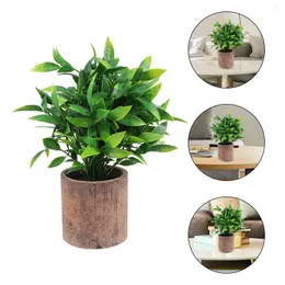 Decorative Flowers Potted Fake Decor Bonsai Faux Artificial Indoor Pots Bedroom Ornament Greenery Green Flower Pot Tree Boxwood Home