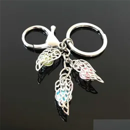 Keychains Lanyards 유럽과 미국 깃털 진주 케이지 키 링은 중공 야력 화산 석재 펜던트 키링 드롭 DHCU9를 열 수 있습니다.