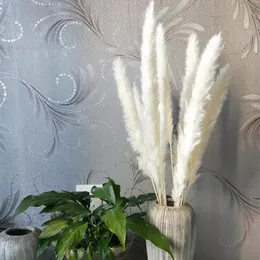Dekorativa blommor kransar 15st naturligt torkad vass buketter pampas gräs för hem bordsskiva dekoration naturlig phragmites