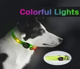 Collar per gatto per gatti per animali domestici USB ricaricabile ricaricabile lampeggiatura lampeggiante Sicurezza luminosa per piccoli cani Big Chihuahua Husky Dog Collars Supplies 2014522984