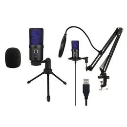 Studio Vocal Kabelmikrofon mit Standhalter für Computeraufzeichnung Kondensator Cardioid Omnidirektional Stereo-Mikrofon Großdiaphragm mit Plastikschockhalterung