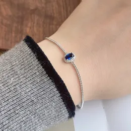 Vintage Charm Love Oval Chain Armband Designer för Woman 925 Sterling Silver Red Blue 5A Cubic Zirconia Jewelry Chains 18k Gold Diamond Womens Armband Presentlåda